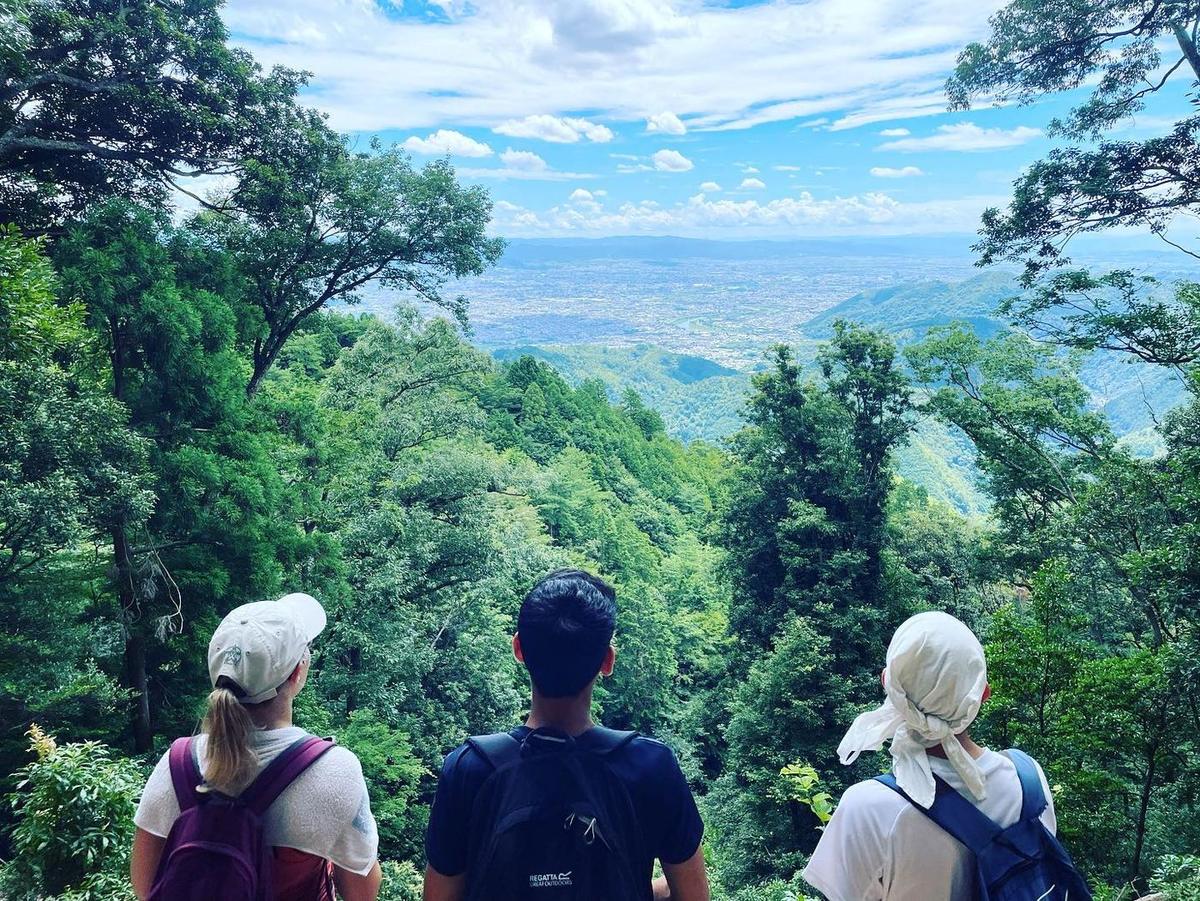Housemates looking out over Kyoto from a forest trail